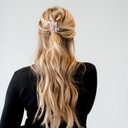 CLIPS Emily